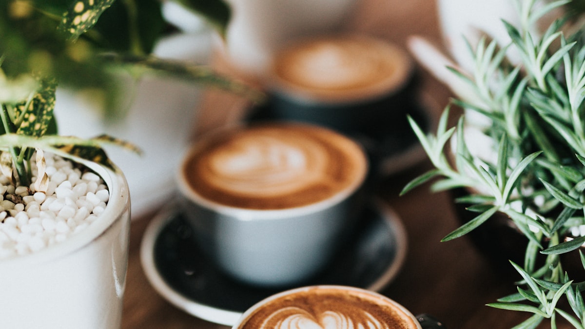 El café de especialidad se volvió parte de la rutina porteña, entre latte art y cafés rodeados de plantas.